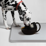 Food Cup